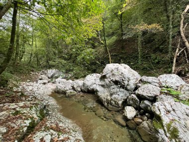Doblarec Gorge veya Perilo Gorge, Rocinj (Slovenya) - Schlucht des Baches Doblarec (Slowenien) - Kanjon potoka Doblarec, Soteska Doblarec ali soteska Doblarca, Rocinj (Slovenija)