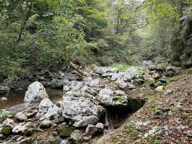 Doblarec Gorge veya Perilo Gorge, Rocinj (Slovenya) - Schlucht des Baches Doblarec (Slowenien) - Kanjon potoka Doblarec, Soteska Doblarec ali soteska Doblarca, Rocinj (Slovenija)