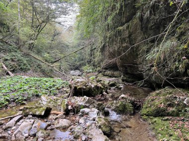 Doblarec Gorge veya Perilo Gorge, Rocinj (Slovenya) - Schlucht des Baches Doblarec (Slowenien) - Kanjon potoka Doblarec, Soteska Doblarec ali soteska Doblarca, Rocinj (Slovenija)