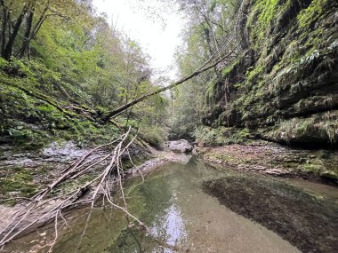 Doblarec Gorge veya Perilo Gorge, Rocinj (Slovenya) - Schlucht des Baches Doblarec (Slowenien) - Kanjon potoka Doblarec, Soteska Doblarec ali soteska Doblarca, Rocinj (Slovenija)