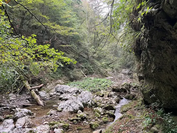 Doblarec Gorge veya Perilo Gorge, Rocinj (Slovenya) - Schlucht des Baches Doblarec (Slowenien) - Kanjon potoka Doblarec, Soteska Doblarec ali soteska Doblarca, Rocinj (Slovenija)