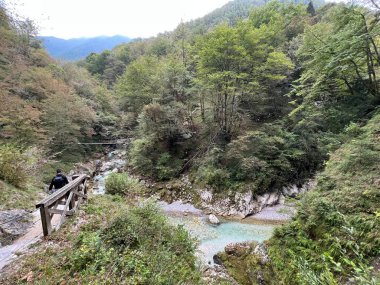 Tolmin Gorges (Triglav Ulusal Parkı, Slovenya) - Tolminer Klammen (Nationalpark Triglav, Slowenien) - Tolminska korita (Triglavski narodni parkı, Slovenya)