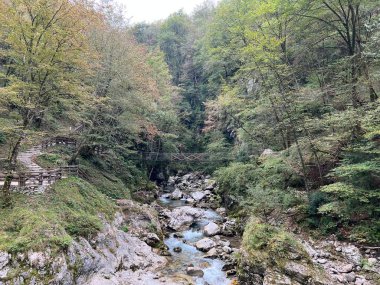 Tolmin Gorges (Triglav Ulusal Parkı, Slovenya) - Tolminer Klammen (Nationalpark Triglav, Slowenien) - Tolminska korita (Triglavski narodni parkı, Slovenya)