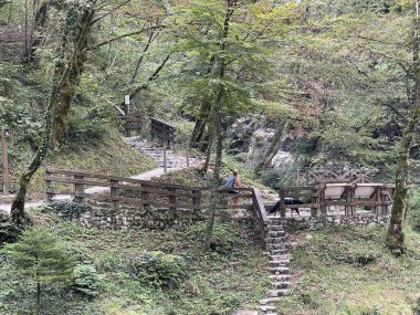 Tolmin Gorges (Triglav Ulusal Parkı, Slovenya) - Tolminer Klammen (Nationalpark Triglav, Slowenien) - Tolminska korita (Triglavski narodni parkı, Slovenya)