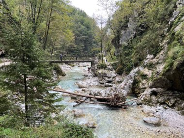 Tolmin Gorges (Triglav Ulusal Parkı, Slovenya) - Tolminer Klammen (Nationalpark Triglav, Slowenien) - Tolminska korita (Triglavski narodni parkı, Slovenya)