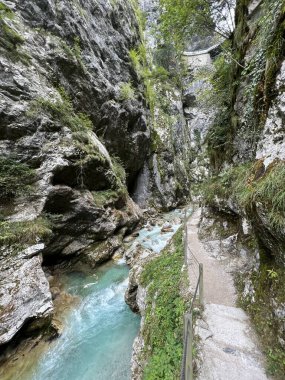 Tolmin Gorges (Triglav Ulusal Parkı, Slovenya) - Tolminer Klammen (Nationalpark Triglav, Slowenien) - Tolminska korita (Triglavski narodni parkı, Slovenya)