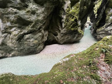 Tolmin Gorges (Triglav Ulusal Parkı, Slovenya) - Tolminer Klammen (Nationalpark Triglav, Slowenien) - Tolminska korita (Triglavski narodni parkı, Slovenya)