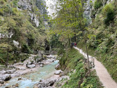 Tolmin Gorges (Triglav Ulusal Parkı, Slovenya) - Tolminer Klammen (Nationalpark Triglav, Slowenien) - Tolminska korita (Triglavski narodni parkı, Slovenya)