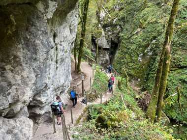Tolmin Gorges (Triglav Ulusal Parkı, Slovenya) - Tolminer Klammen (Nationalpark Triglav, Slowenien) - Tolminska korita (Triglavski narodni parkı, Slovenya)