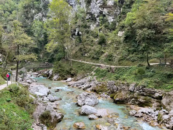 Tolmin Gorges (Triglav Ulusal Parkı, Slovenya) - Tolminer Klammen (Nationalpark Triglav, Slowenien) - Tolminska korita (Triglavski narodni parkı, Slovenya)