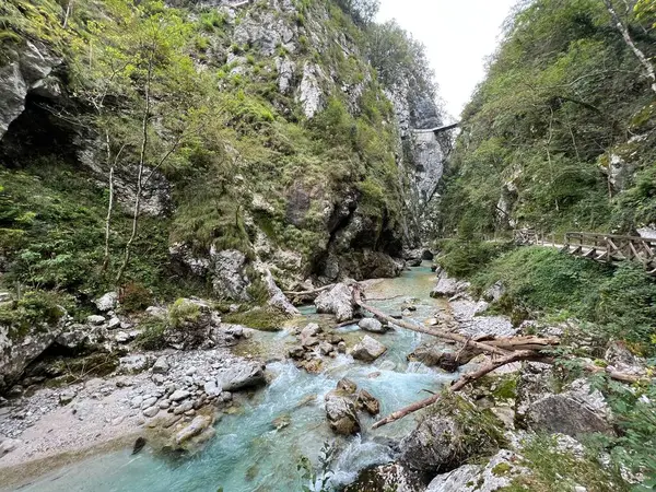 Tolmin Gorges (Triglav Ulusal Parkı, Slovenya) - Tolminer Klammen (Nationalpark Triglav, Slowenien) - Tolminska korita (Triglavski narodni parkı, Slovenya)