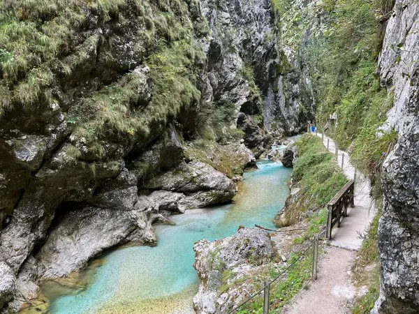 Tolmin Gorges (Triglav Ulusal Parkı, Slovenya) - Tolminer Klammen (Nationalpark Triglav, Slowenien) - Tolminska korita (Triglavski narodni parkı, Slovenya)