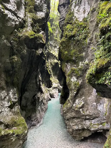 Tolmin Gorges (Triglav Ulusal Parkı, Slovenya) - Tolminer Klammen (Nationalpark Triglav, Slowenien) - Tolminska korita (Triglavski narodni parkı, Slovenya)