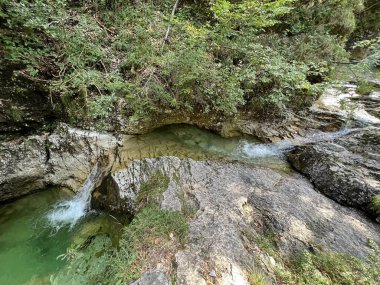 Predelica nehri ve şelaleleri, Log pod Mangartom (Triglav Ulusal Parkı, Slovenya) - Der Predelica-Bach und die Wasserfaelle (Triglav-Nationalpark, Slowenien) - Potok Predelica in slapovi (Triglavski narodni park, Slovenija)