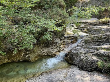 Predelica nehri ve şelaleleri, Log pod Mangartom (Triglav Ulusal Parkı, Slovenya) - Der Predelica-Bach und die Wasserfaelle (Triglav-Nationalpark, Slowenien) - Potok Predelica in slapovi (Triglavski narodni park, Slovenija)