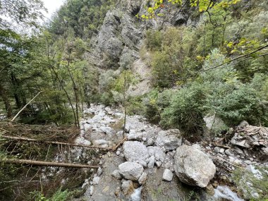 Godica vadisi (Triglav Ulusal Parkı, Slovenya) - Schlucht des Baches Godica (Triglav-Nationalpark, Slowenien) - Soteska Godice ali potok Gadica, Tolmin (Triglavski narodni parkı, Slovenya)