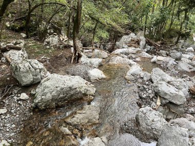 Godica vadisi (Triglav Ulusal Parkı, Slovenya) - Schlucht des Baches Godica (Triglav-Nationalpark, Slowenien) - Soteska Godice ali potok Gadica, Tolmin (Triglavski narodni parkı, Slovenya)