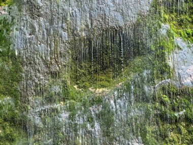 Brinta Şelalesi, Vrsno (Kobarid, Slovenya) - Wasserfall Brinta, Vrsno (Kobarid, Slowenien) - Tokat Brinta, Vrsno (Kobarid, Slovenya))