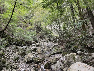 Vrsno (Kobarid, Slovenya) - Wasserfaelle und Troege unter Vrsno (Kobarid, Slowenien) - Korita kapsülü Vrsnim (Kobarid, Slovenija)