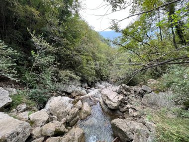 Vrsno (Kobarid, Slovenya) - Wasserfaelle und Troege unter Vrsno (Kobarid, Slowenien) - Korita kapsülü Vrsnim (Kobarid, Slovenija)