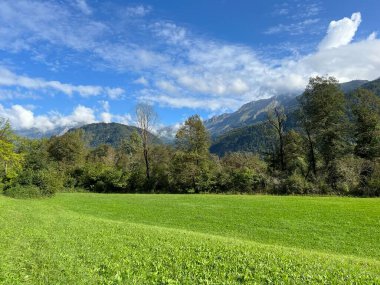 Soca Nehri Vadisi, Bovec (Slovenya) - Alpenmischwald im Soca-Flusstal, Bovec (Slowenien) - Mesani alpski gozd v dolini reke Soce, Bovec (Slovenija)