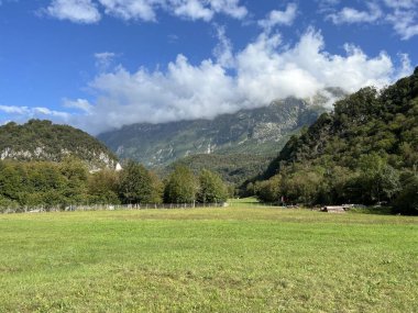 Soca Nehri Vadisi, Bovec (Slovenya) - Alpenmischwald im Soca-Flusstal, Bovec (Slowenien) - Mesani alpski gozd v dolini reke Soce, Bovec (Slovenija)