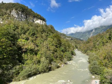 Yaz ve yüksek su seviyesi (Kobard, Slovenya) - Fluss Soca mit umliegenden Waeldern im Sommer und bei hohem Wasserstand (Slowenien))