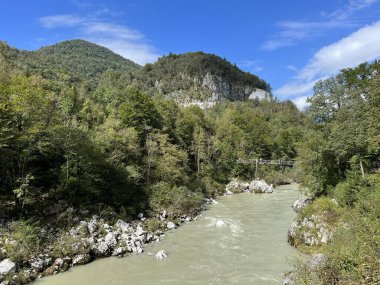 Yaz ve yüksek su seviyesi (Kobard, Slovenya) - Fluss Soca mit umliegenden Waeldern im Sommer und bei hohem Wasserstand (Slowenien))