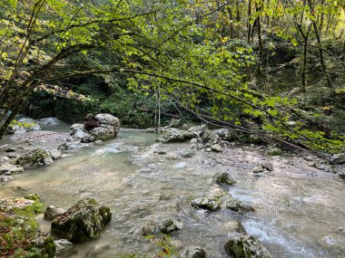 Soca Nehri (Kobarid, Slovenya) ile birleştiği yerin yukarısındaki Kozjak kanyonu - Die Schlucht des Baches Kozjak oberhalb seiner Muendung in den Fluss Soca (Slowenien))
