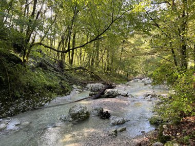 Soca Nehri (Kobarid, Slovenya) ile birleştiği yerin yukarısındaki Kozjak kanyonu - Die Schlucht des Baches Kozjak oberhalb seiner Muendung in den Fluss Soca (Slowenien))