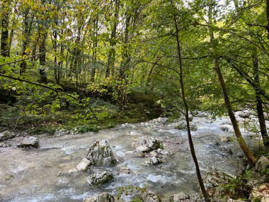 Soca Nehri (Kobarid, Slovenya) ile birleştiği yerin yukarısındaki Kozjak kanyonu - Die Schlucht des Baches Kozjak oberhalb seiner Muendung in den Fluss Soca (Slowenien))