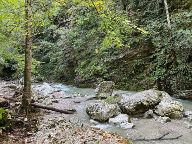 Soca Nehri (Kobarid, Slovenya) ile birleştiği yerin yukarısındaki Kozjak kanyonu - Die Schlucht des Baches Kozjak oberhalb seiner Muendung in den Fluss Soca (Slowenien))