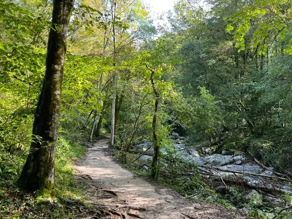 Kozjak deresi kanyonunda yürüyüş izleri ve işaretler, Kobarid (Slovenya) - Der Schlucht des Kozjak-Baches (Slowenien) - Pohodne poti v kanjonu potoka Kozjak, Kobarid (Slovenija))