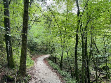 Soca Nehri (Bovec, Slovenya) - Wanderweg entlang des Flusses Soca oder Soca-Weg (Bovec, Slowenien) - Soska pot ali Pohodna pot ob reki Soci (Bovec, Slovenya, Slovenya))