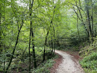 Soca Nehri (Bovec, Slovenya) - Wanderweg entlang des Flusses Soca oder Soca-Weg (Bovec, Slowenien) - Soska pot ali Pohodna pot ob reki Soci (Bovec, Slovenya, Slovenya))