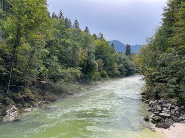 Bovac yakınlarındaki (Bovec, Slovenya) Soca Nehri - Der Fluss Soca bei Bovec mit einem bewaldeten Ufer (Bovec, Slowenien) - Reka Soca pri Bovcu z gozdnatim bregom (Bovec, Slovenija bregom))