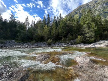 Bovac yakınlarındaki (Bovec, Slovenya) Soca Nehri - Der Fluss Soca bei Bovec mit einem bewaldeten Ufer (Bovec, Slowenien) - Reka Soca pri Bovcu z gozdnatim bregom (Bovec, Slovenija bregom))