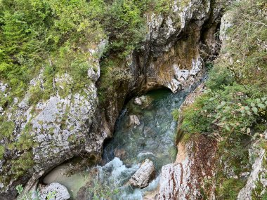 The Great Soca Gorge (Triglav Ulusal Parkı, Slovenya) - Grosse Soca-Schlucht oder Grosse Soca-Troege, Nationalpark Triglav (Grosse Soca-Troege, Slowenien) - Velika korita Soce (Triglavski narodni parkı, Slovenija)