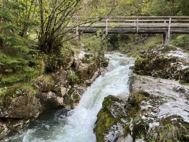 Lepenca deresi, Bovec (Triglav Ulusal Parkı, Slovenya) - Sunik-Wasserhain oder Wasserfaelle am Bach Lepenca (Triglav-Nationalpark, Slowenien) - Sunikov vodni gaj v Lepeni, Bovec (Triglavski narodni parkı))