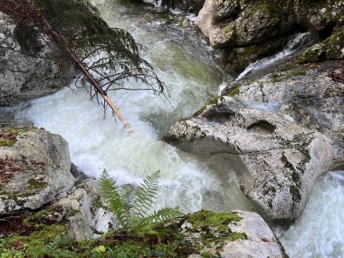 Lepenca deresi, Bovec (Triglav Ulusal Parkı, Slovenya) - Sunik-Wasserhain oder Wasserfaelle am Bach Lepenca (Triglav-Nationalpark, Slowenien) - Sunikov vodni gaj v Lepeni, Bovec (Triglavski narodni parkı))