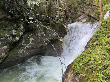 Lepenca deresi, Bovec (Triglav Ulusal Parkı, Slovenya) - Sunik-Wasserhain oder Wasserfaelle am Bach Lepenca (Triglav-Nationalpark, Slowenien) - Sunikov vodni gaj v Lepeni, Bovec (Triglavski narodni parkı))