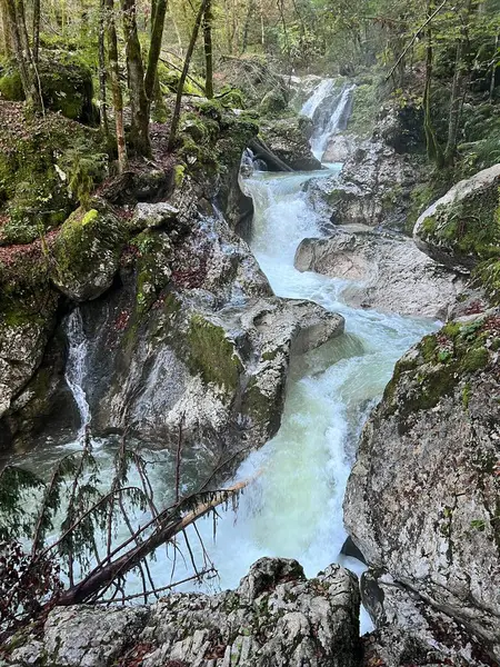 Lepenca deresi, Bovec (Triglav Ulusal Parkı, Slovenya) - Sunik-Wasserhain oder Wasserfaelle am Bach Lepenca (Triglav-Nationalpark, Slowenien) - Sunikov vodni gaj v Lepeni, Bovec (Triglavski narodni parkı))