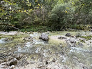 Lepena, Bovec (Triglav Ulusal Parkı, Slovenya) - Der Bach Lepenjica im Bereich des Wasserhains von Sunik, Bovec (Nationalpark Triglav, Slowenien))