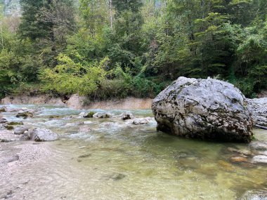 Lepena, Bovec (Triglav Ulusal Parkı, Slovenya) - Der Bach Lepenjica im Bereich des Wasserhains von Sunik, Bovec (Nationalpark Triglav, Slowenien))