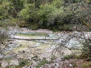 Lepena, Bovec (Triglav Ulusal Parkı, Slovenya) - Der Bach Lepenjica im Bereich des Wasserhains von Sunik, Bovec (Nationalpark Triglav, Slowenien))