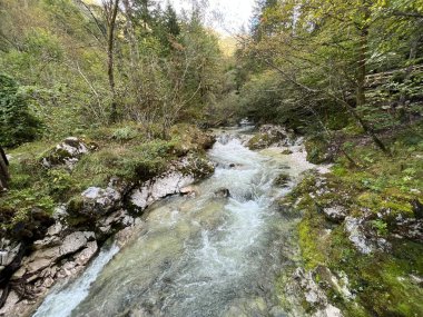 Lepena, Bovec (Triglav Ulusal Parkı, Slovenya) - Der Bach Lepenjica im Bereich des Wasserhains von Sunik, Bovec (Nationalpark Triglav, Slowenien))