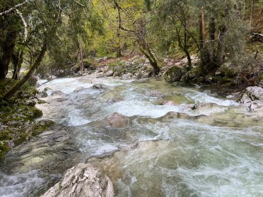 Lepena, Bovec (Triglav Ulusal Parkı, Slovenya) - Der Bach Lepenjica im Bereich des Wasserhains von Sunik, Bovec (Nationalpark Triglav, Slowenien))