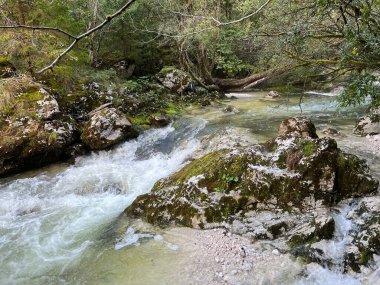 Lepena, Bovec (Triglav Ulusal Parkı, Slovenya) - Der Bach Lepenjica im Bereich des Wasserhains von Sunik, Bovec (Nationalpark Triglav, Slowenien))