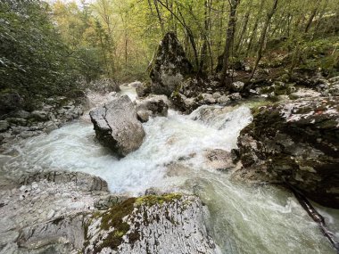 Lepena, Bovec (Triglav Ulusal Parkı, Slovenya) - Der Bach Lepenjica im Bereich des Wasserhains von Sunik, Bovec (Nationalpark Triglav, Slowenien))