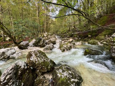 Lepena, Bovec (Triglav Ulusal Parkı, Slovenya) - Der Bach Lepenjica im Bereich des Wasserhains von Sunik, Bovec (Nationalpark Triglav, Slowenien))
